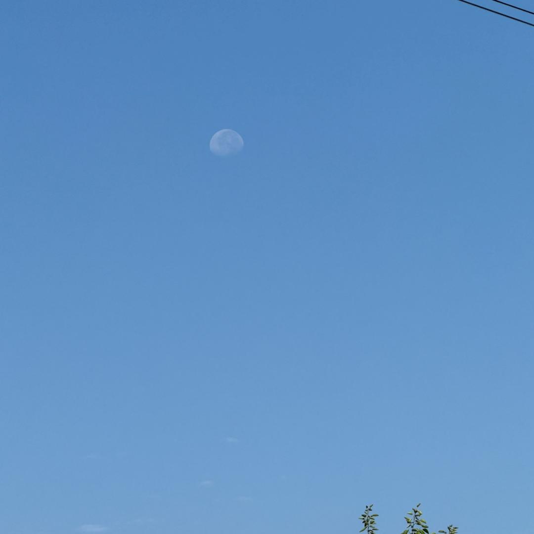 aa