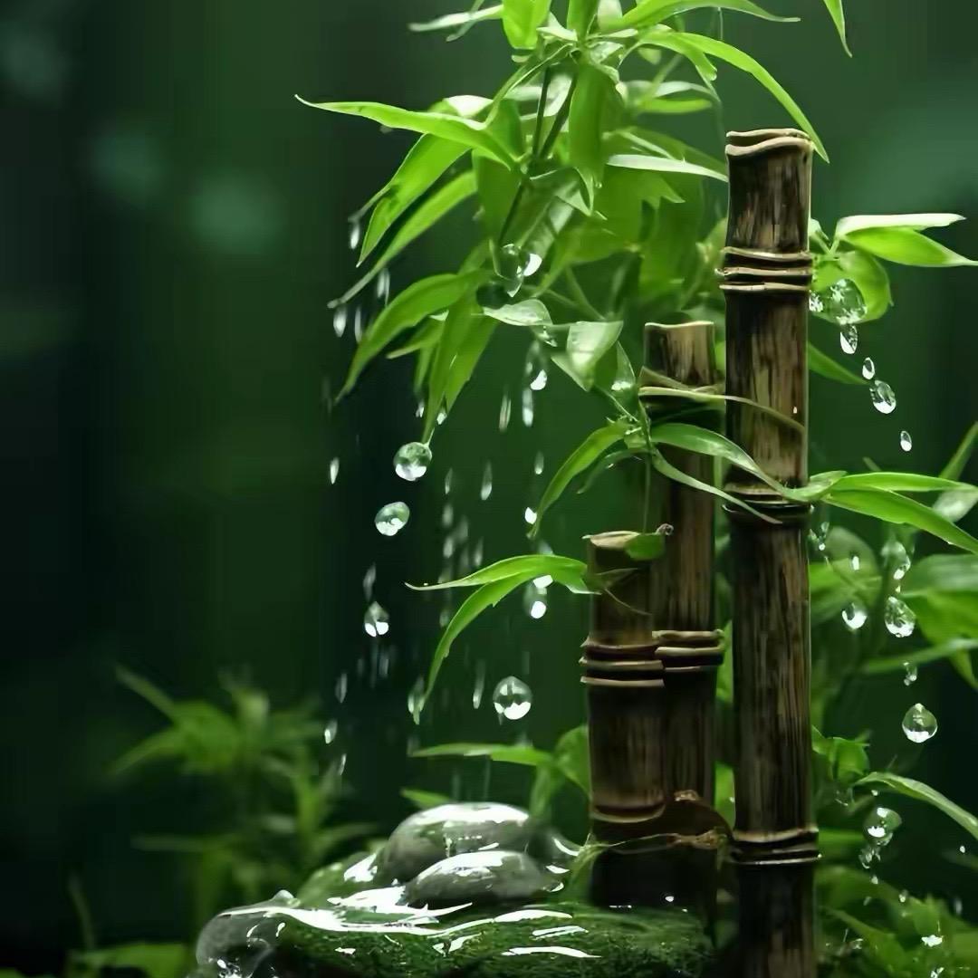 海上生明月