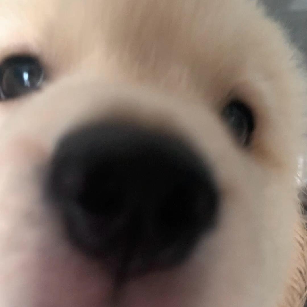 豆芽