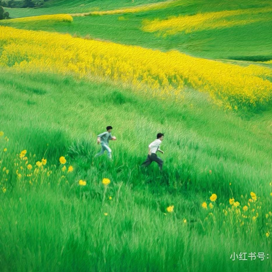 小荔枝