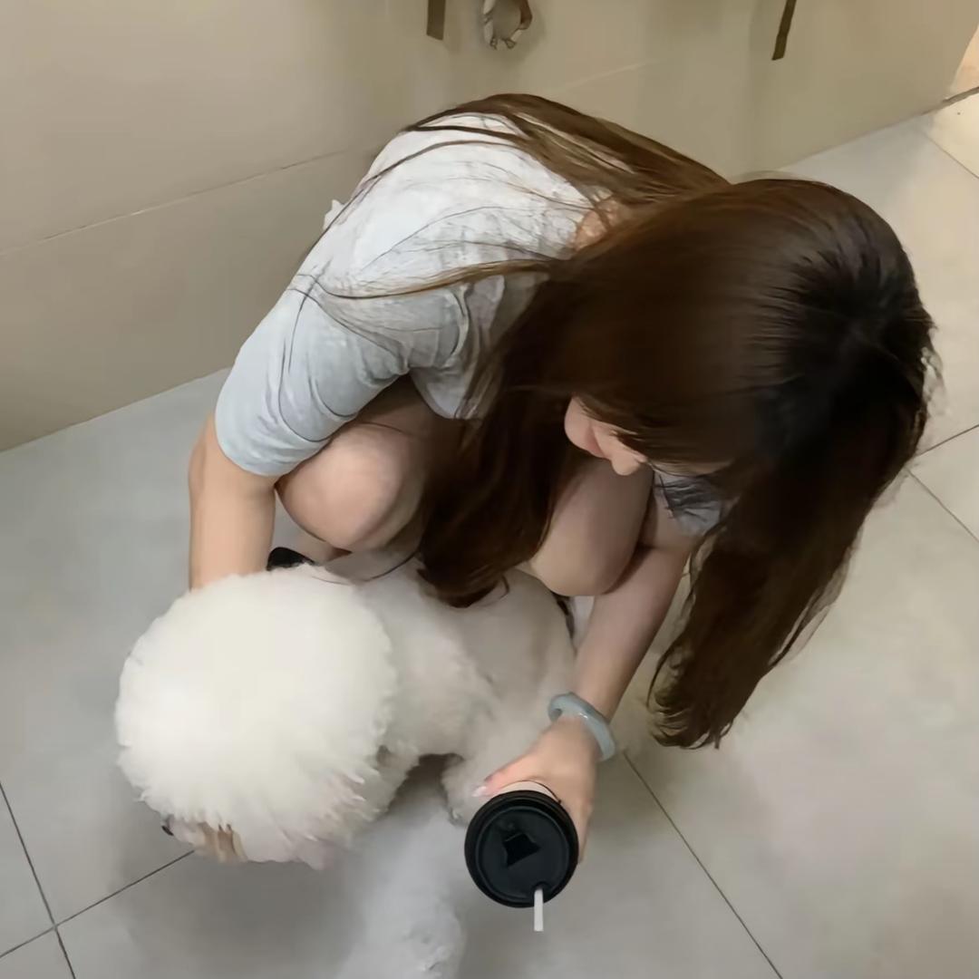 呼噜噜🐾