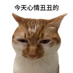 冬意染