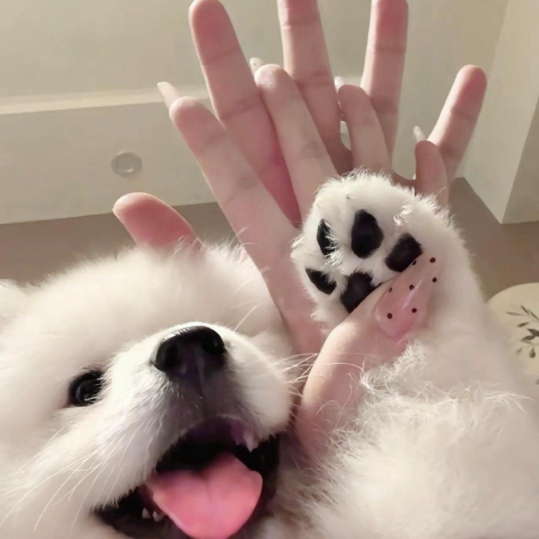 空白ㅤ