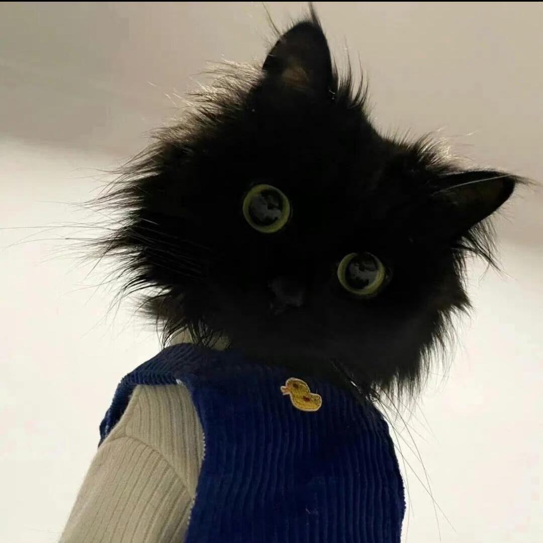 热枕