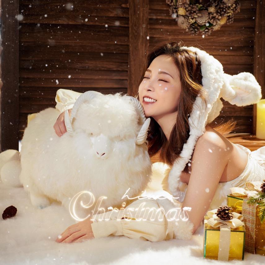 扬琴婷婷🌟