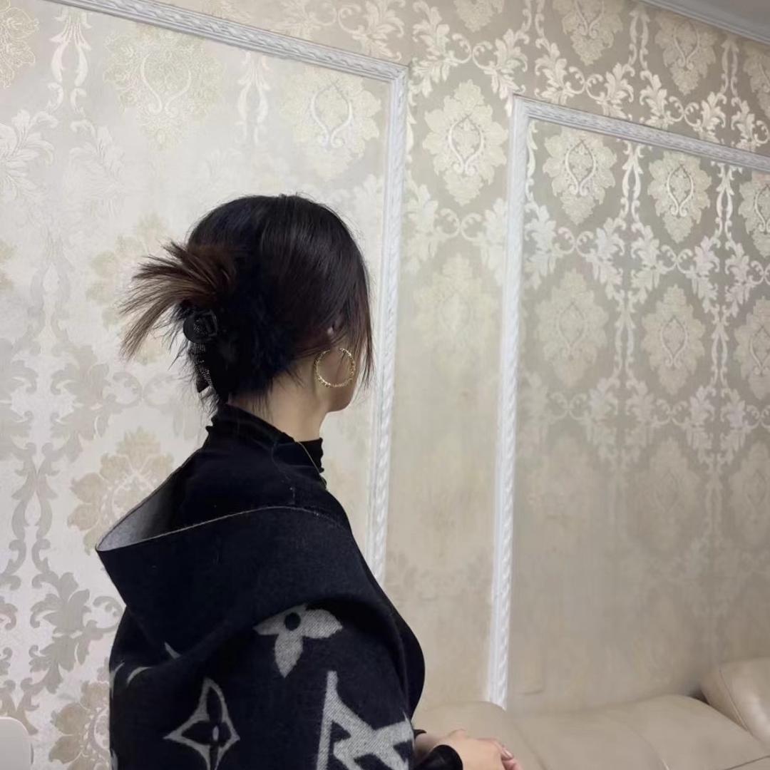 丹丹看房记