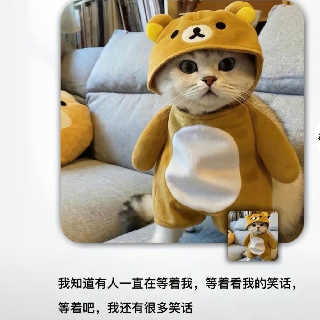 GTi的鼠辈