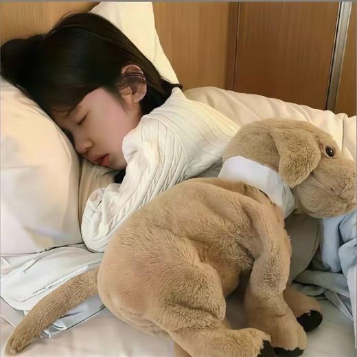 不爱吃香菜./🦋