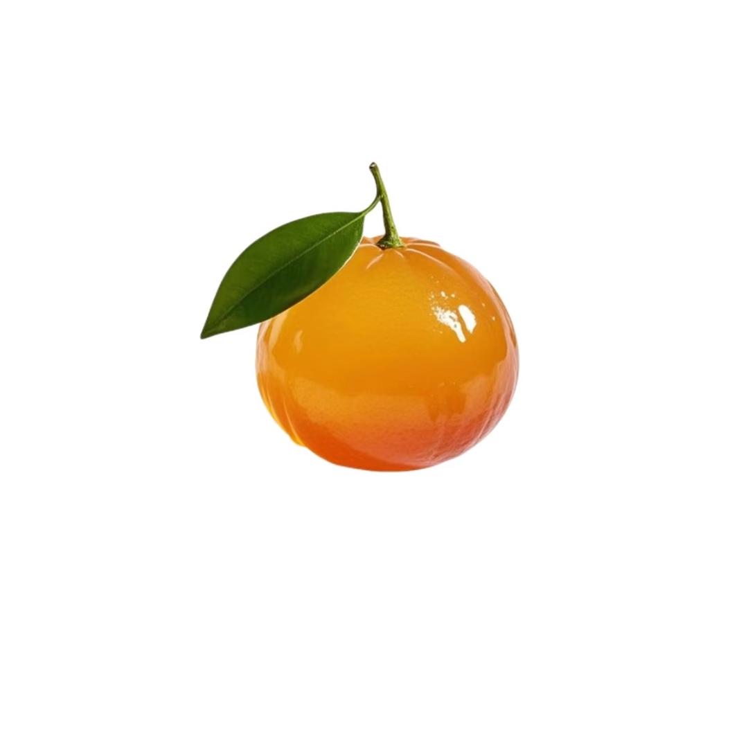 Y③