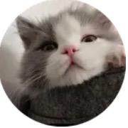 Llllbbbb
