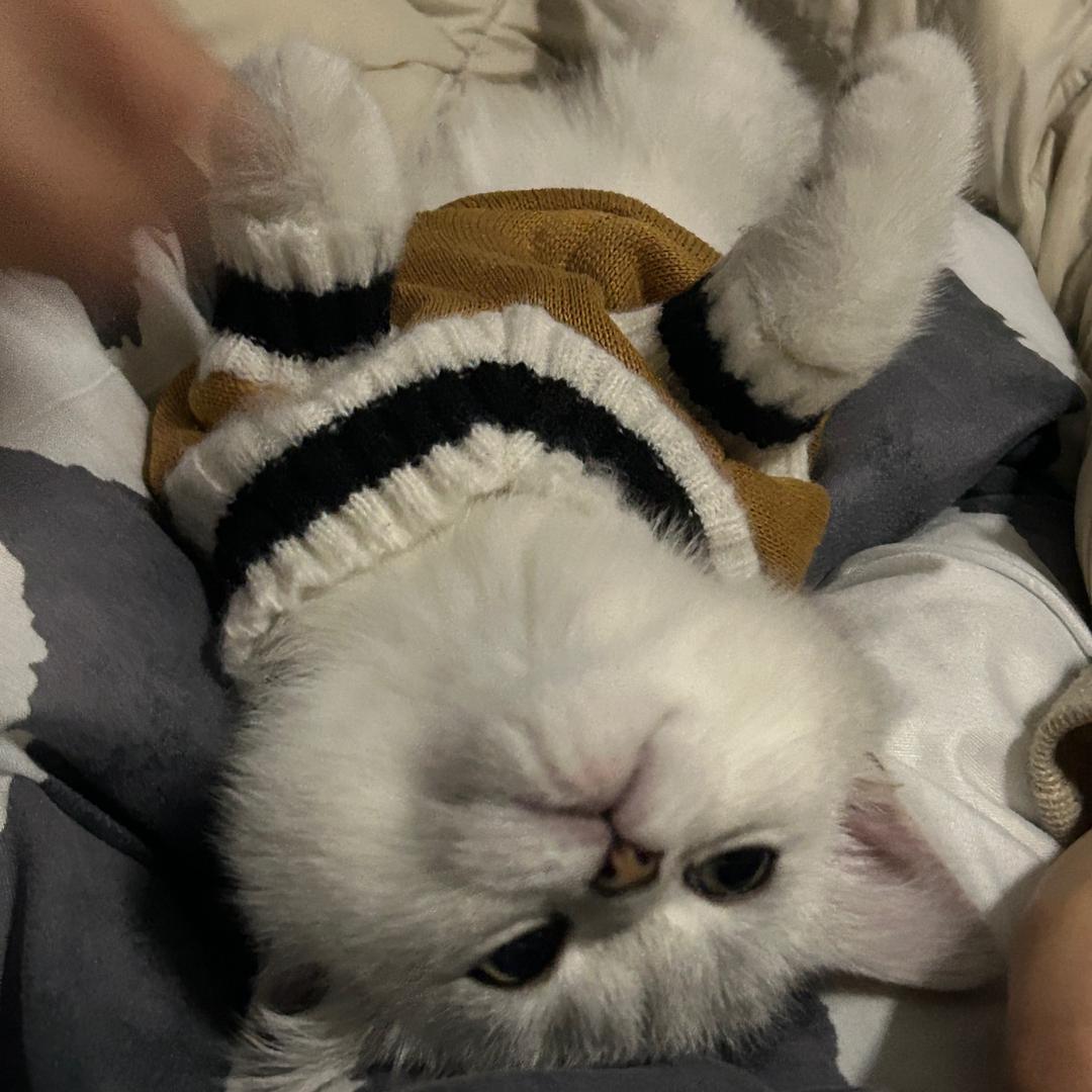 瞎穿的宇航员