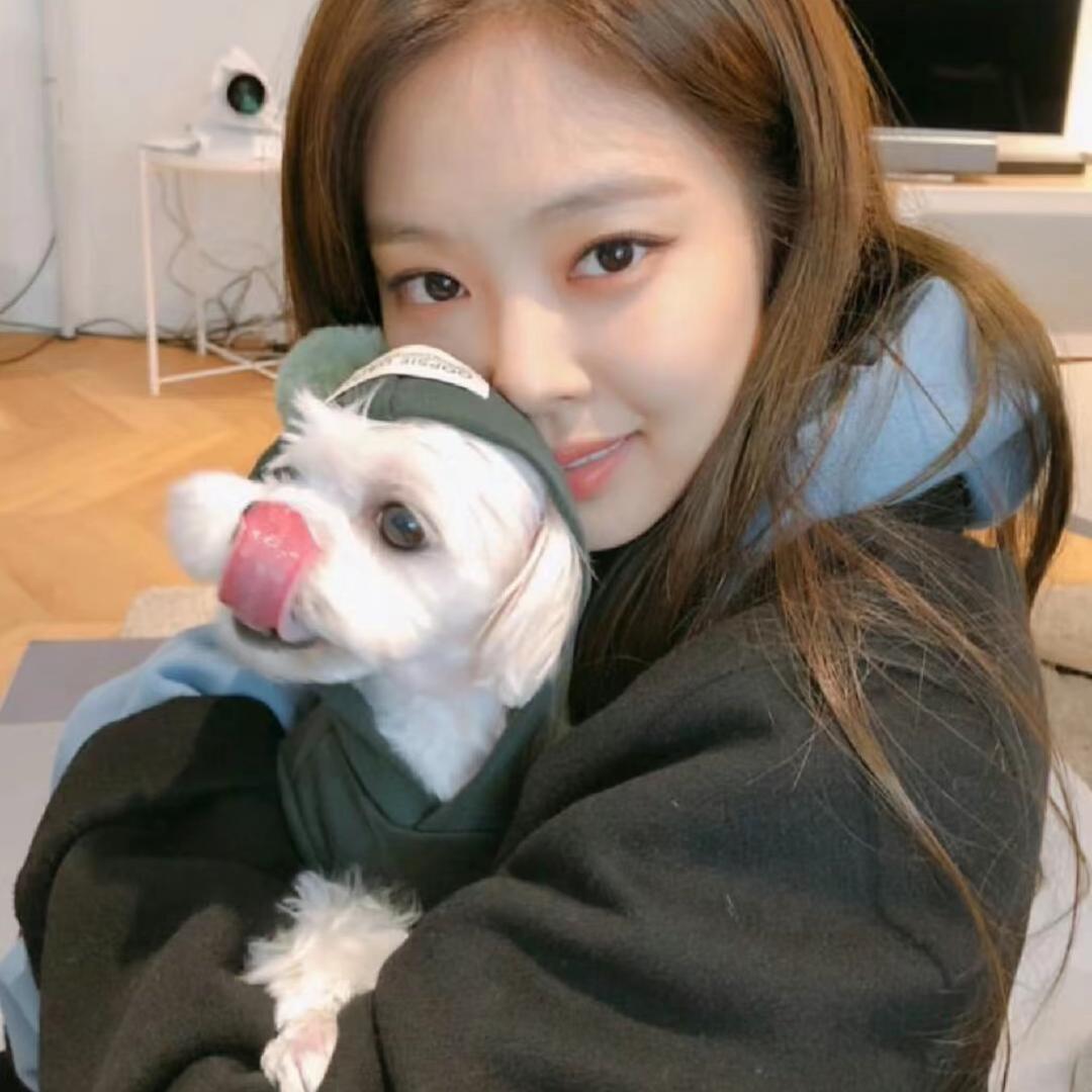 我想养一条狗狗