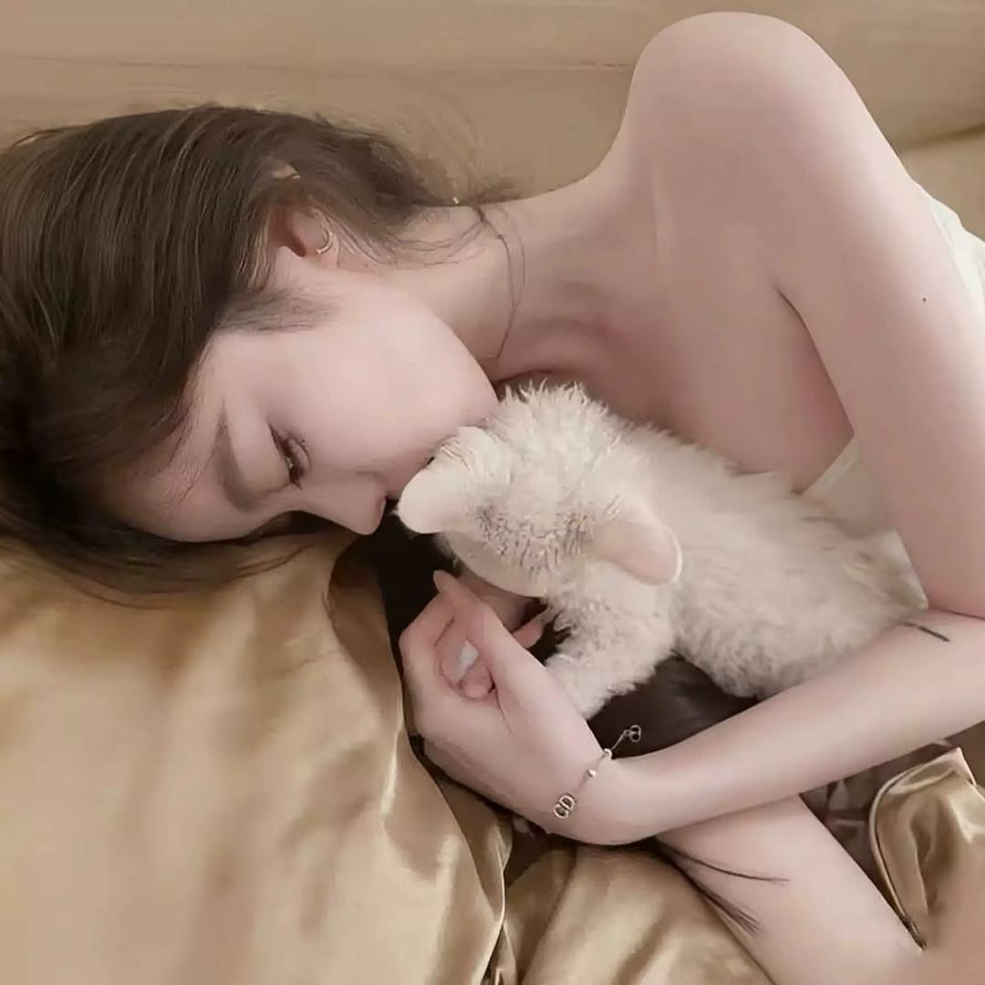 ︋︋︋︋︋  ︋︋︋︋︋