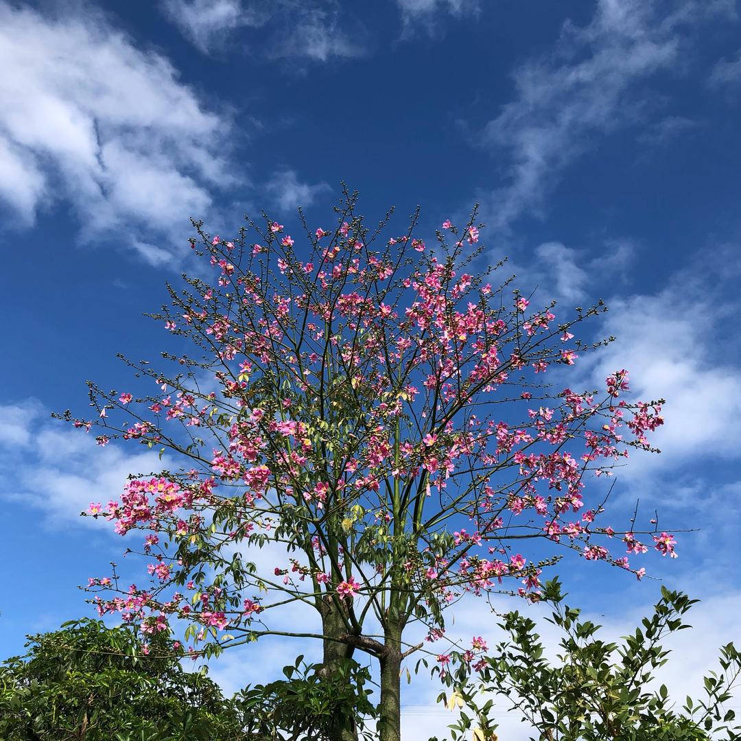 只要你喜歡周杰倫我們就是好朋友（跑步版）