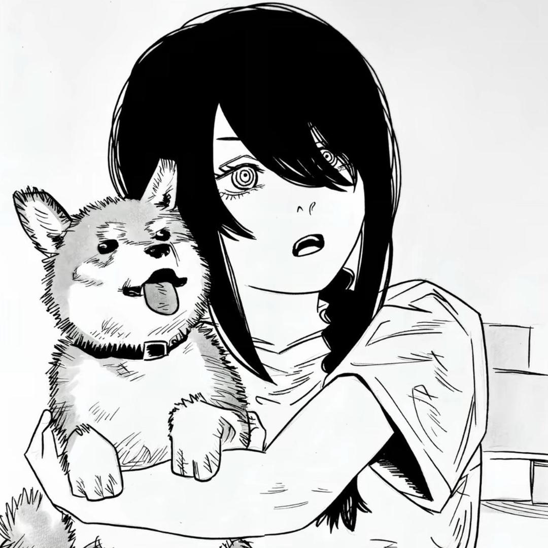 坏貓
