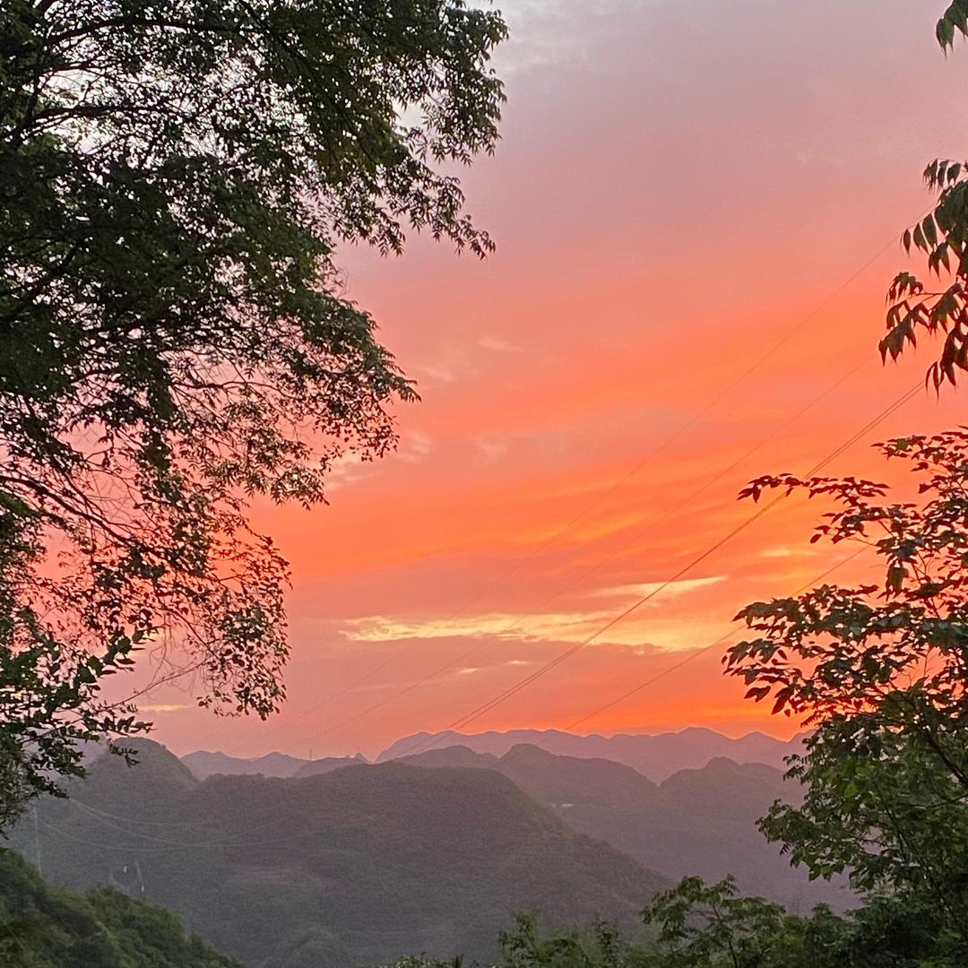 🌷🍁斜阳🌹正红🍁🌷