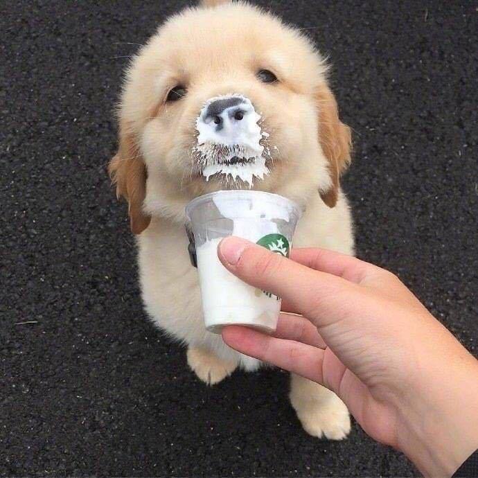 姜K