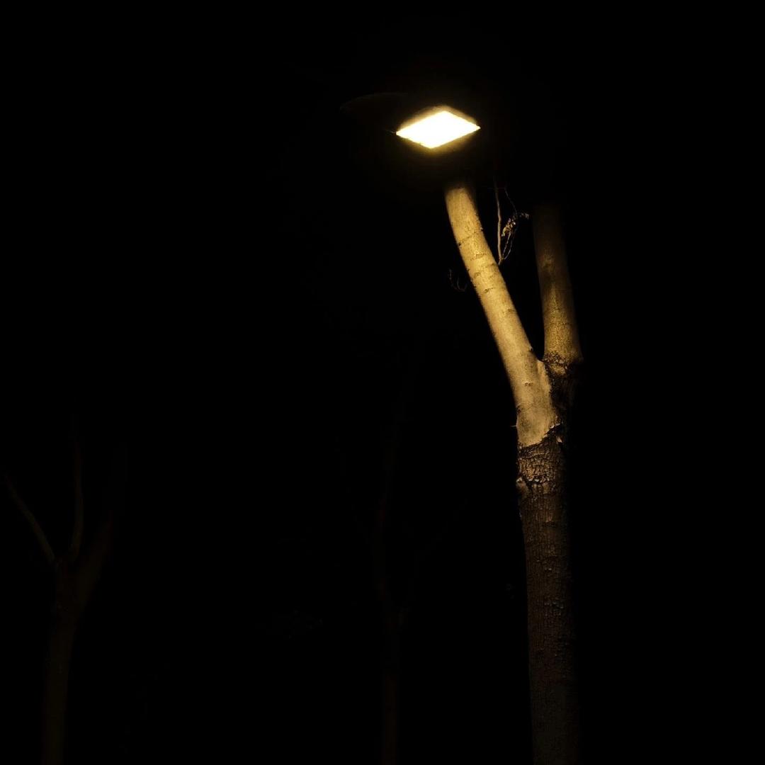 小黑吖嘿