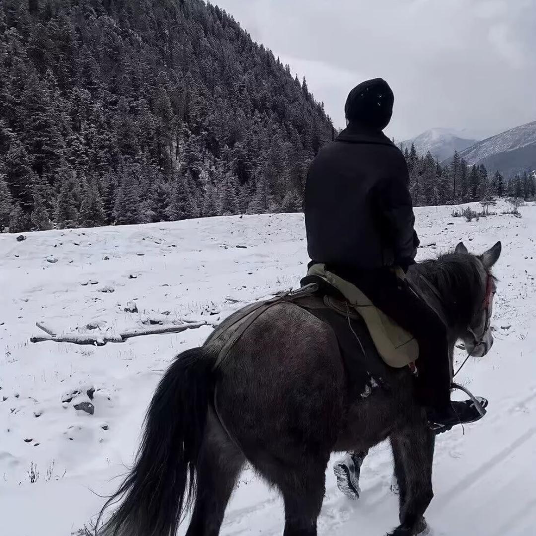 鼓捣给泰森八坨子