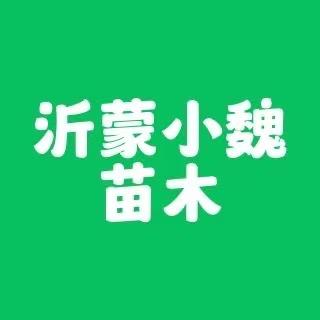 美存果树苗木专营店