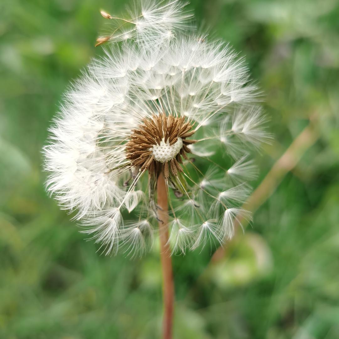 天下谁人不识君