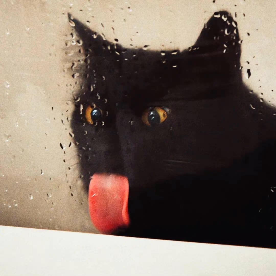 十八阿
