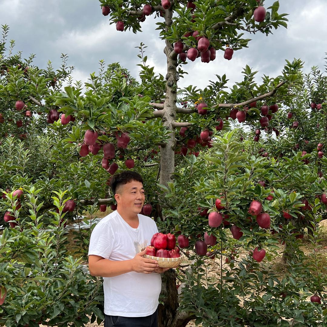 采谷人优选(大红袍花椒)
