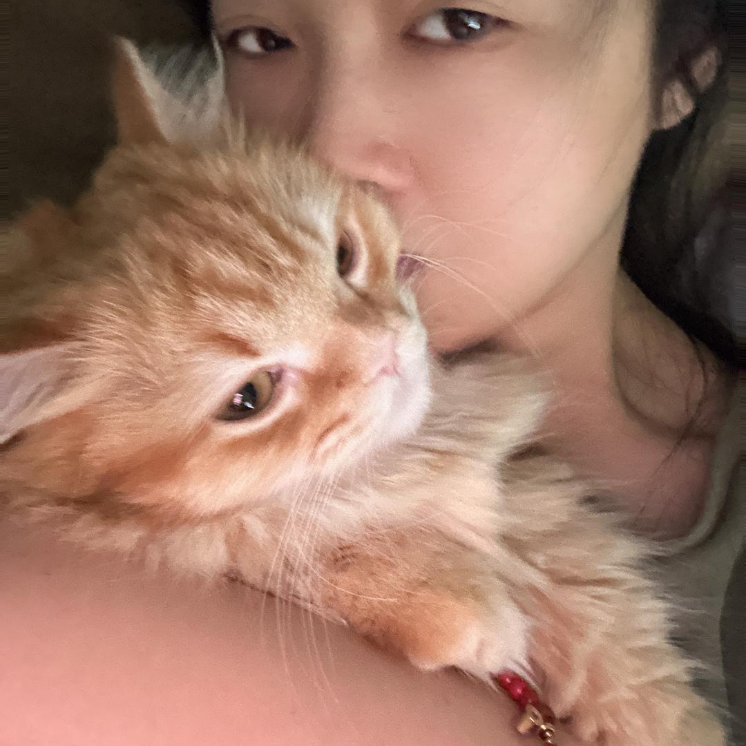 野子与咪大宝的山居日记