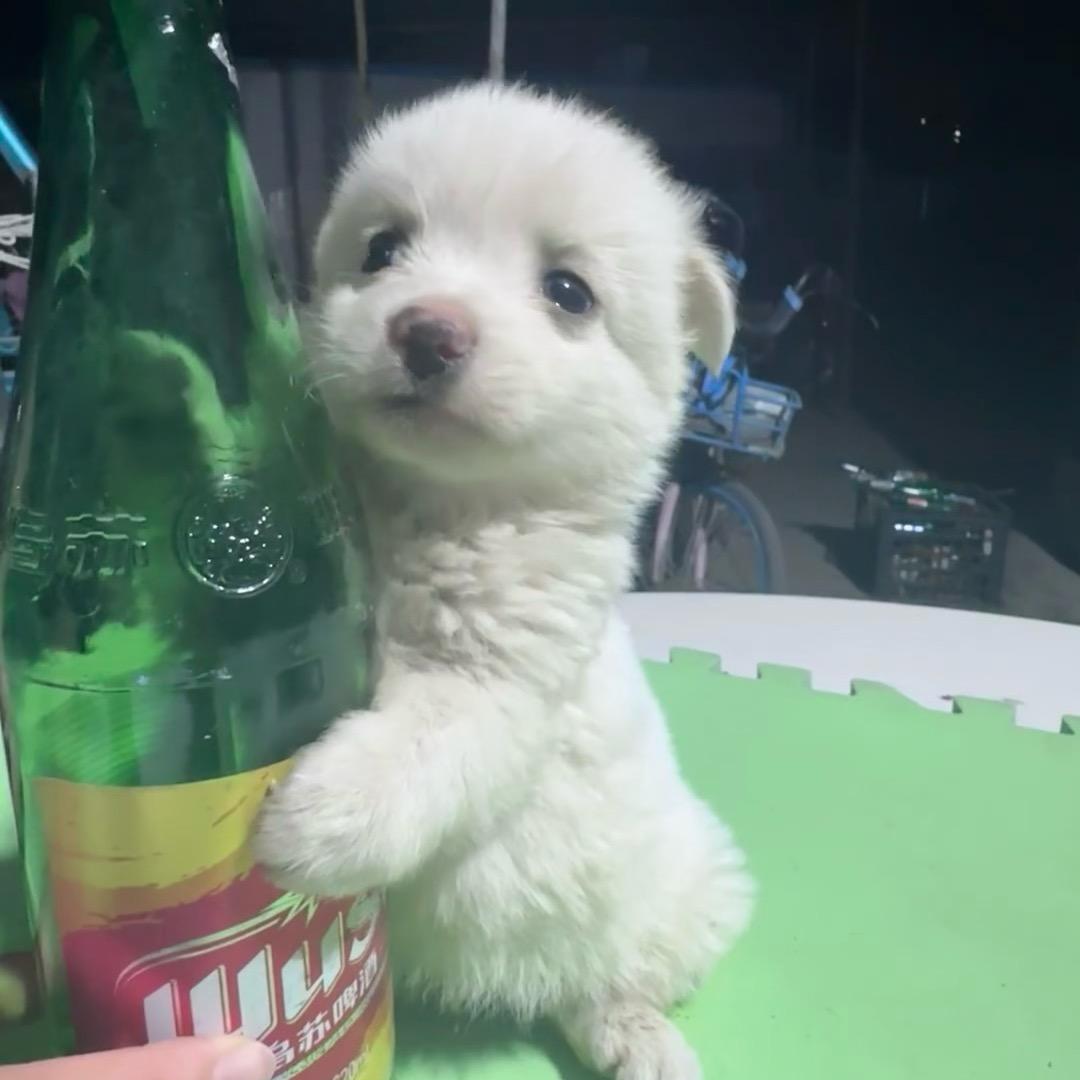 玩吃鸡别秒我好吗