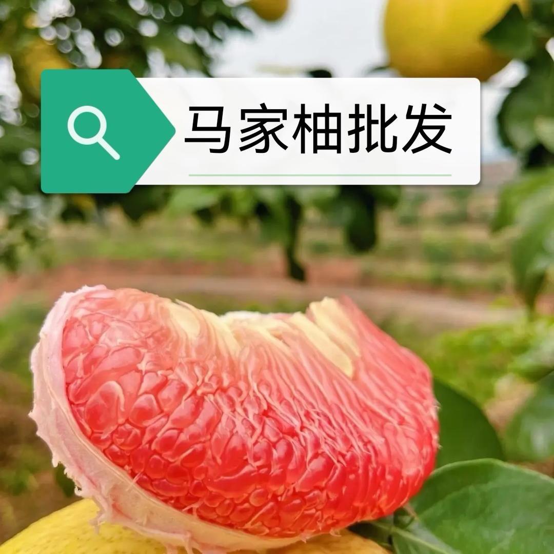 宏月广丰马家柚