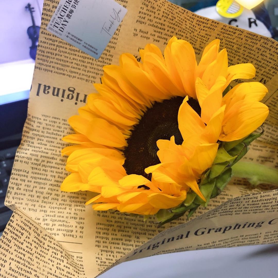 🌈小花和她的崽崽们🌈