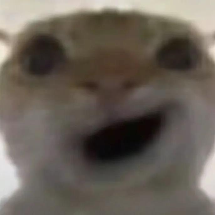 江枫渔火对愁眠丶