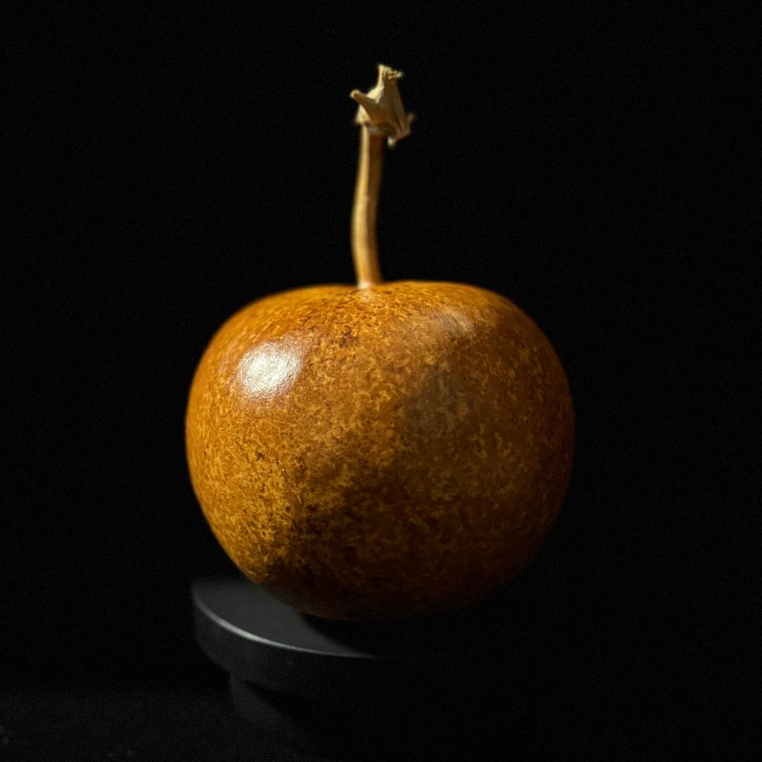 好宝.
