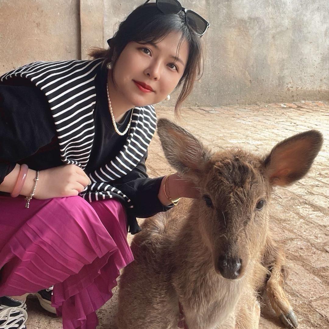 一鹿有你·张鹿鹿