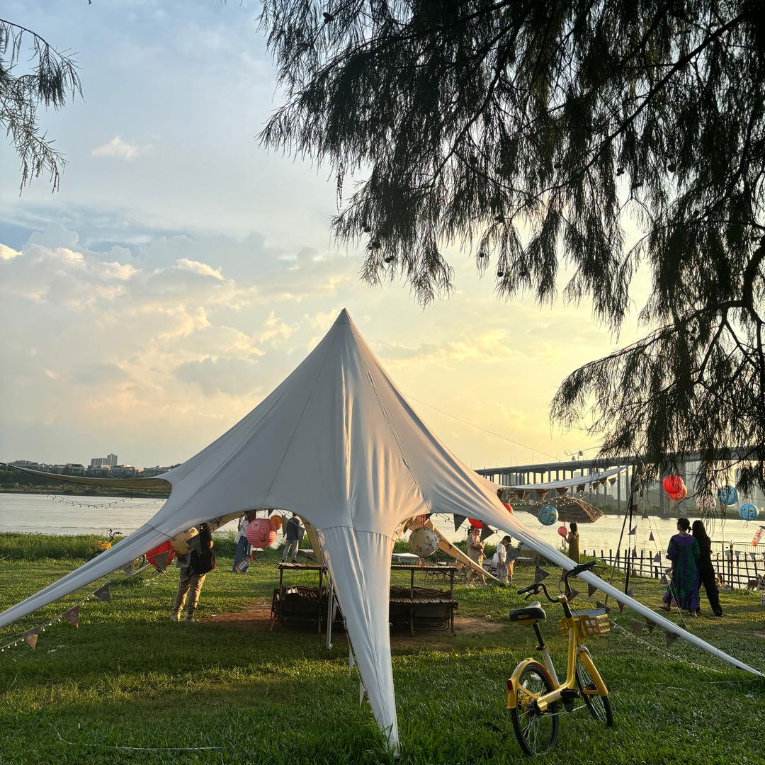 凌晨一点的猫🐱