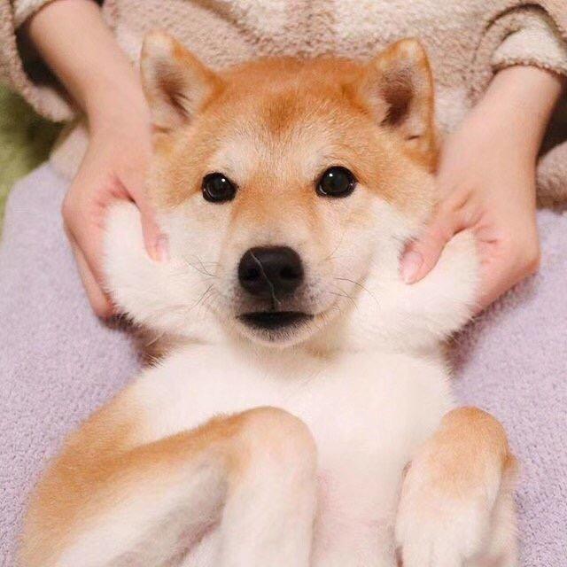 So