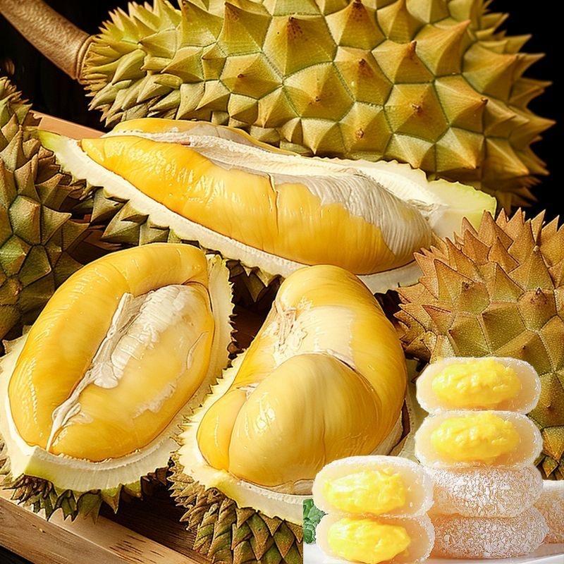 锦硕优品