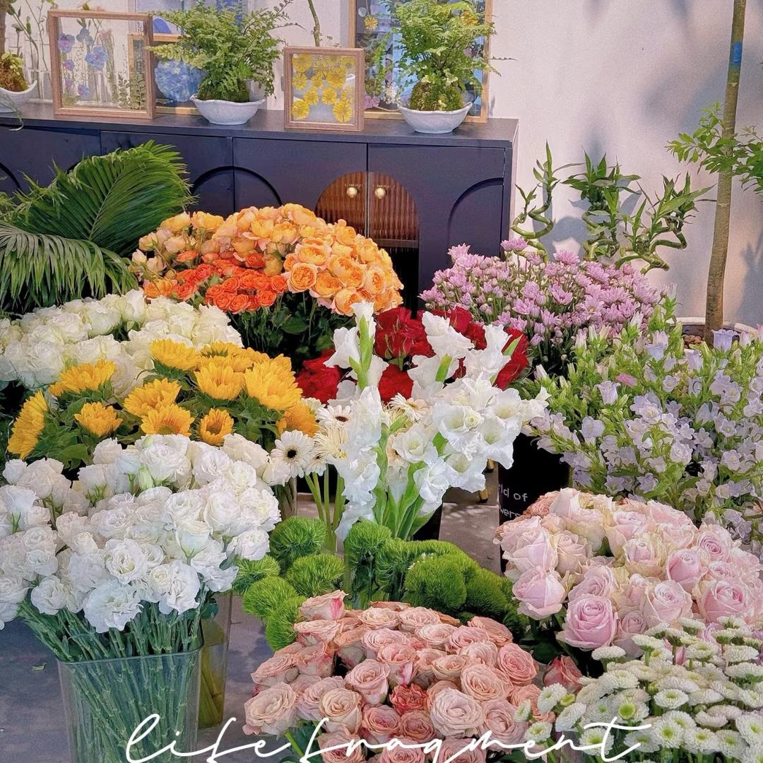 兔小姐的鲜花铺