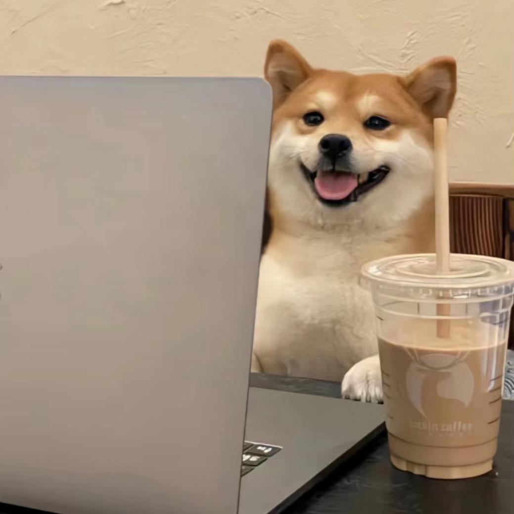 开心椰子女士🥥