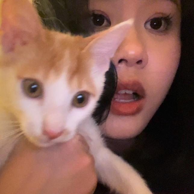 鸭鸭公主
