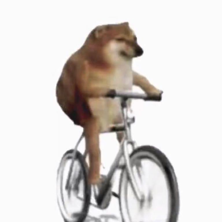 HinsC