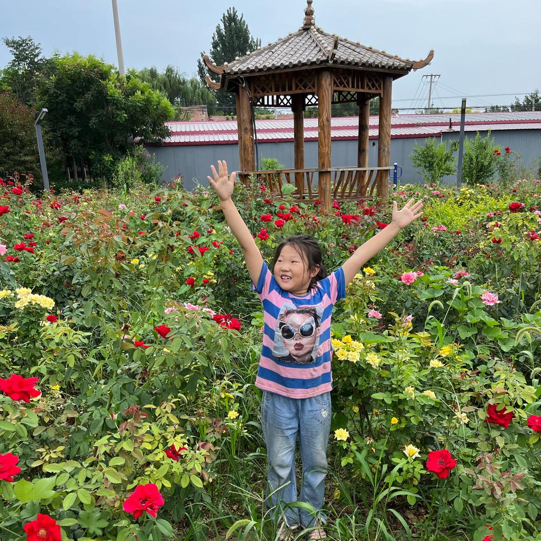 鑫照家具石器艺术馆