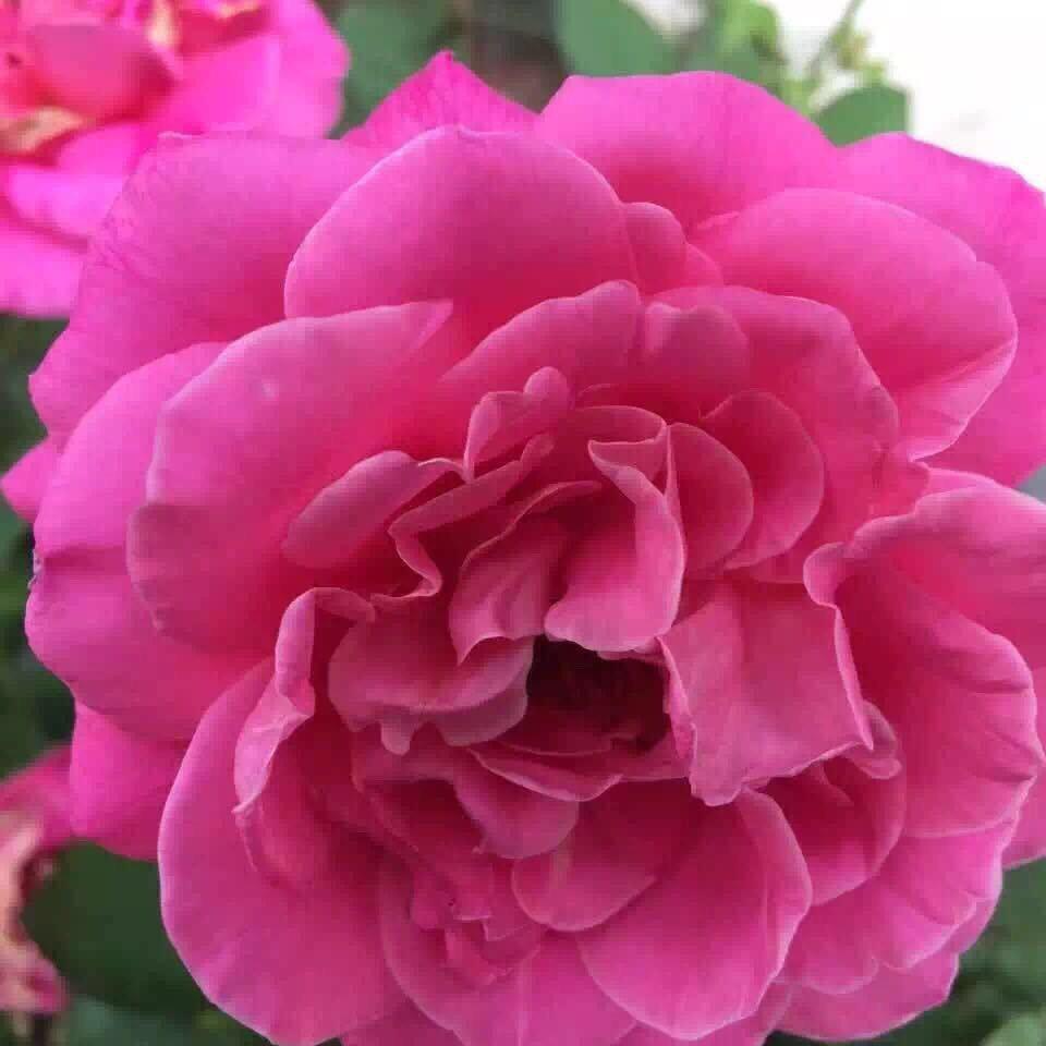 用户4215654924137玲玲