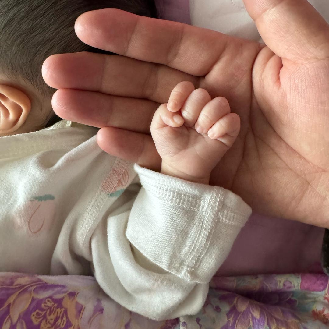 布尔庆        《有妹妹版》