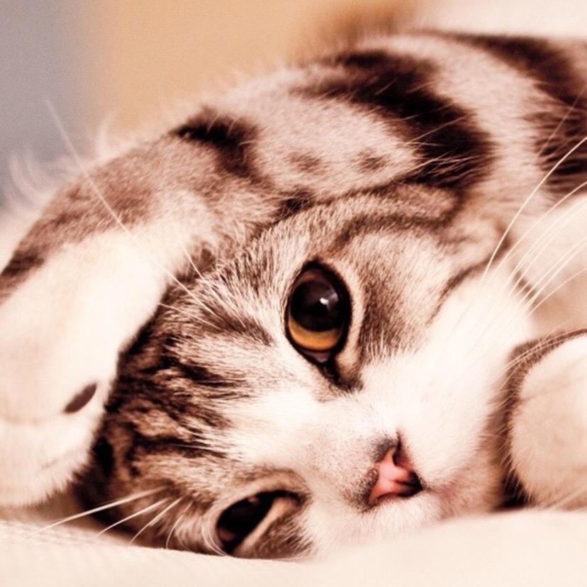 我叫郭聪明