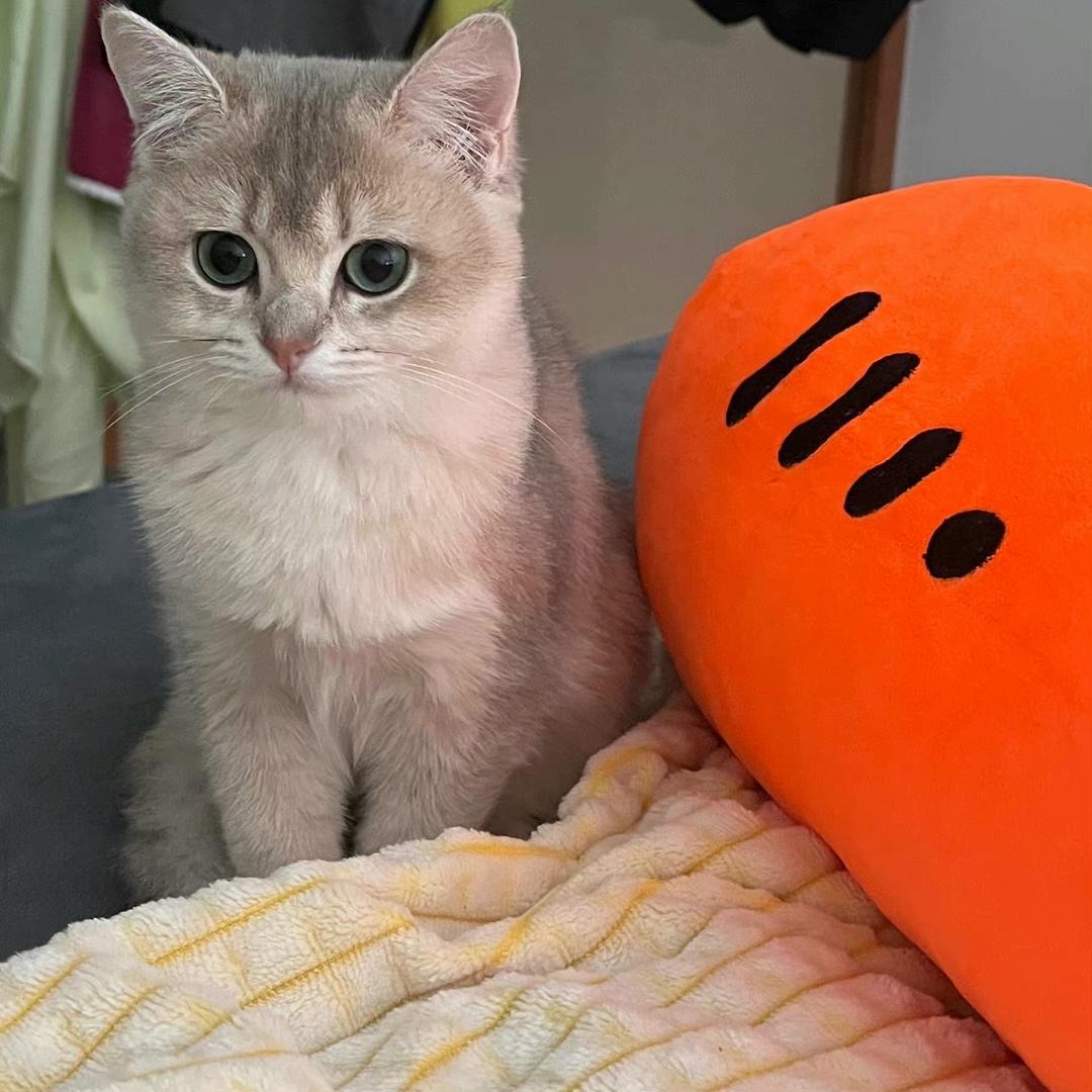 xiu