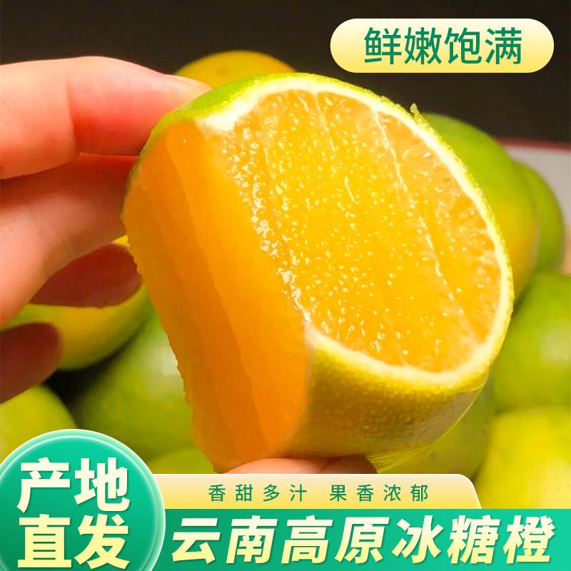 云南哀牢山冰糖橙