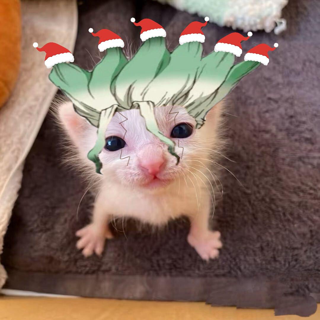 求无痛长下巴教程