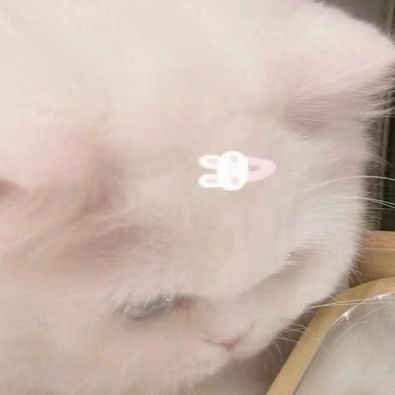 零零七