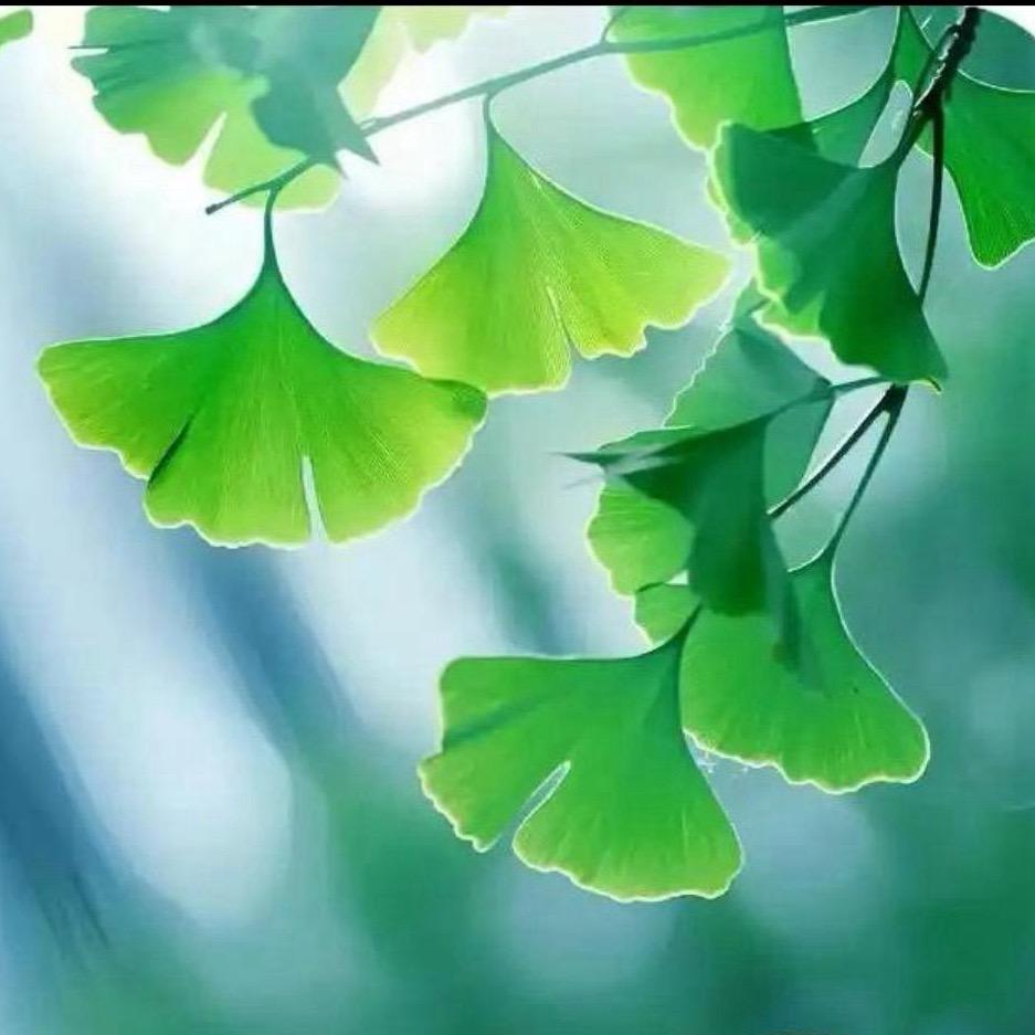 💞袁滚滚